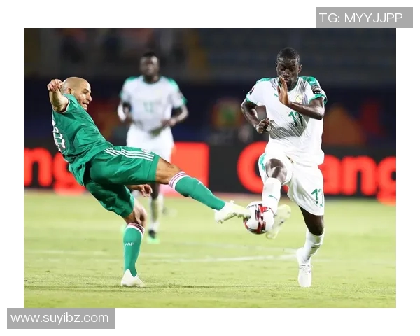 塞内加尔足球明星全景解析与历史成就回顾